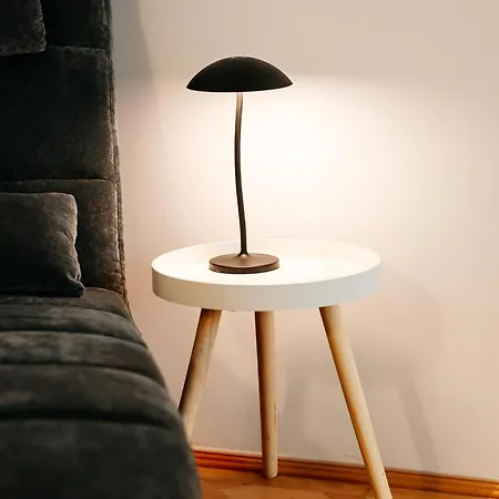 Apartmán Serendipity Downtown